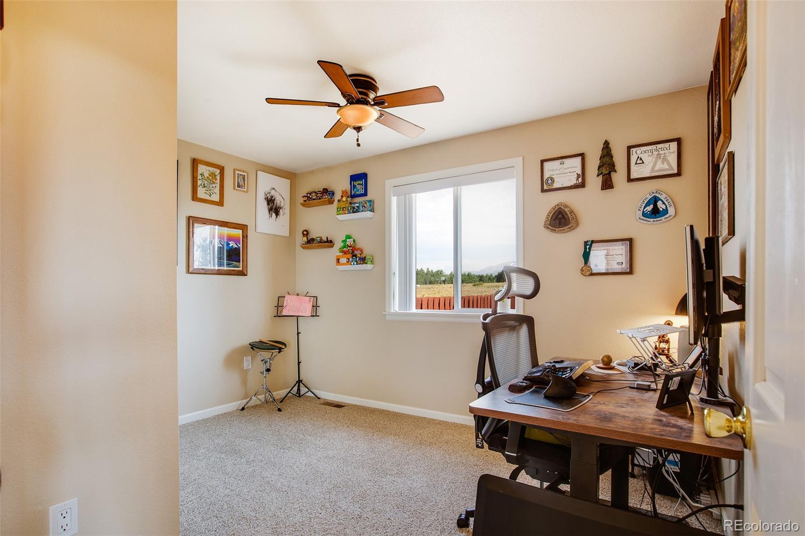 119 Bristlecone Lane Fairplay CO 80440