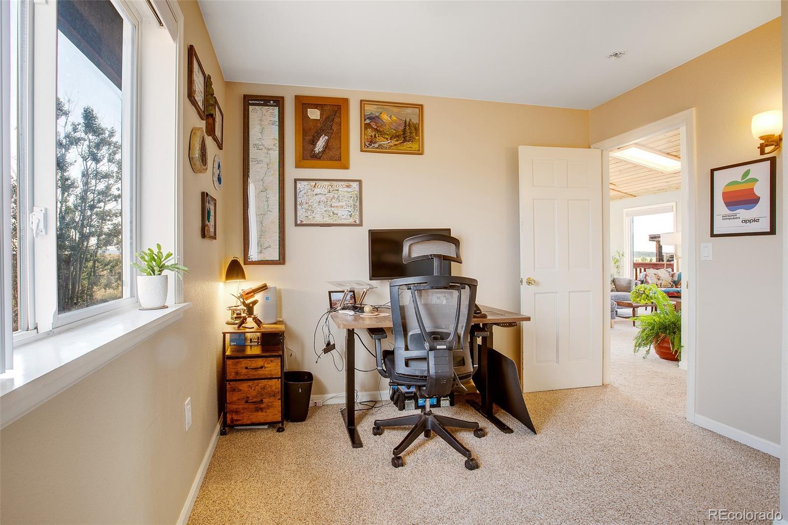 119 Bristlecone Lane Fairplay CO 80440