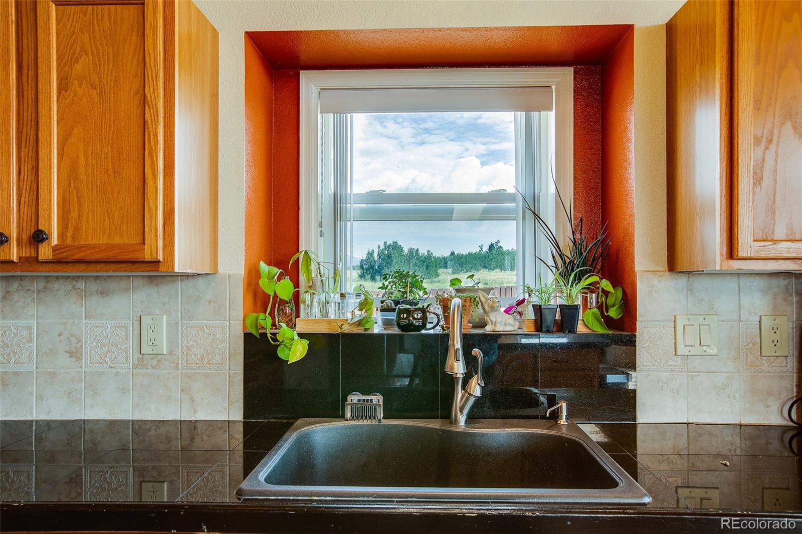 119 Bristlecone Lane Fairplay CO 80440