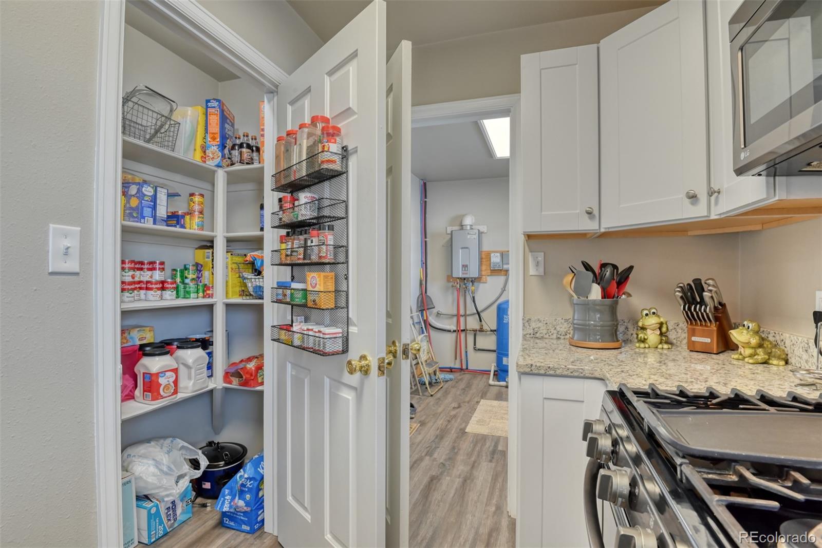 17 Garfield Circle Florissant CO 80816