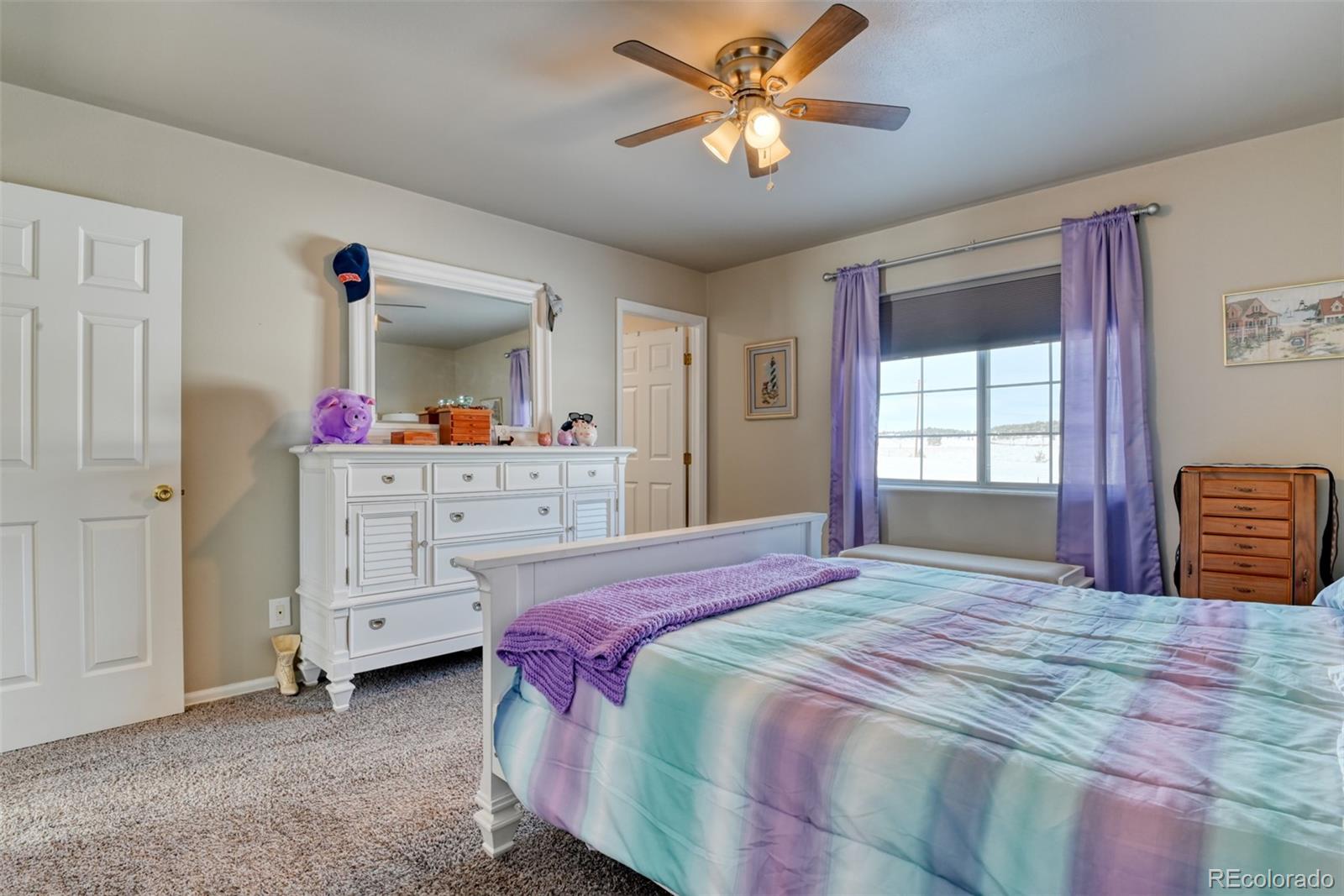 17 Garfield Circle Florissant CO 80816