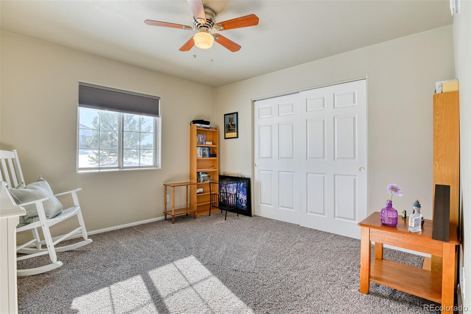 17 Garfield Circle Florissant CO 80816