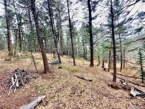 5475 S Twin Spruce Drive Evergreen CO 80439