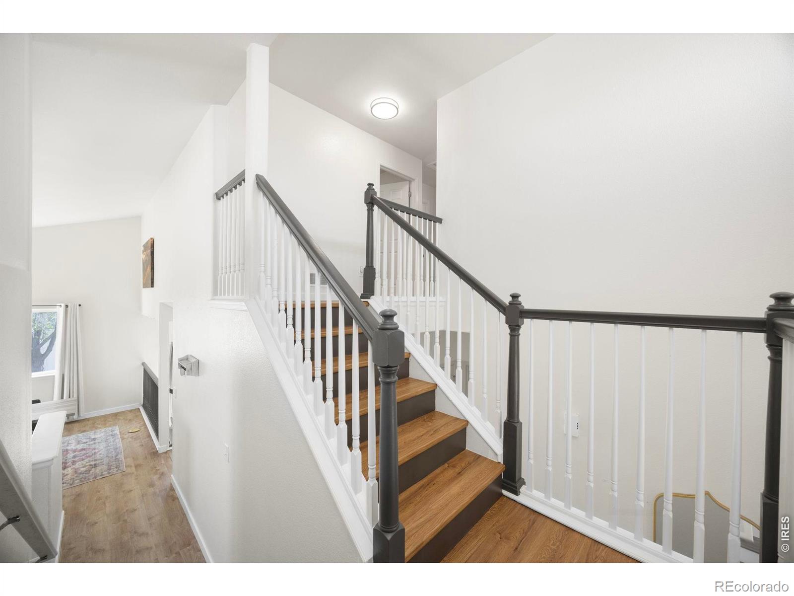 2536 Peppercorn Drive Mead CO 80542