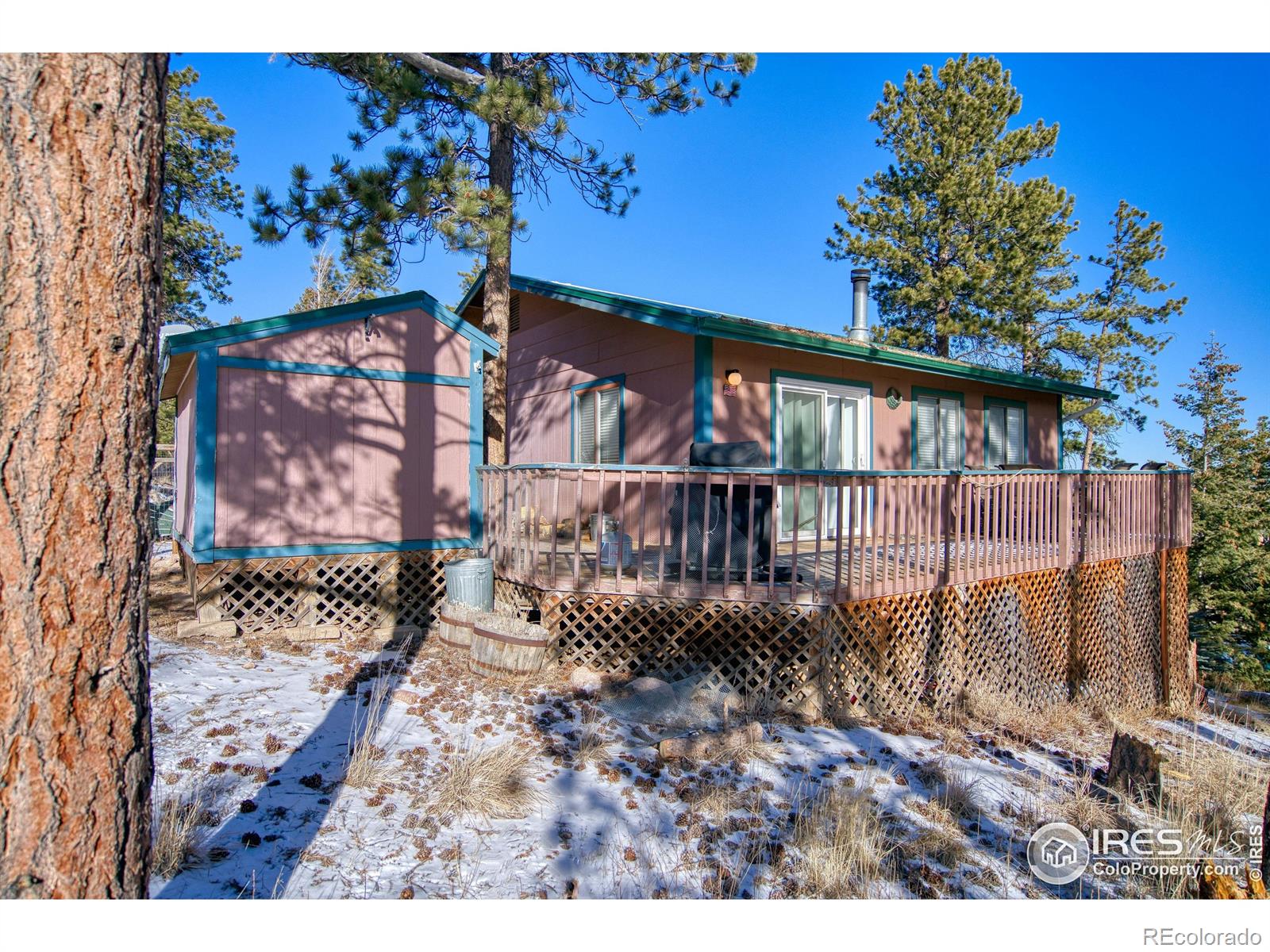 231 Snake Lake Drive Red Feather Lakes CO 80545