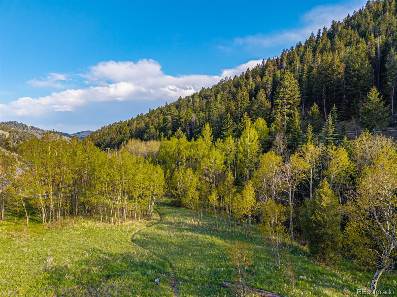 5896 Peregrine Trail Golden CO 80403