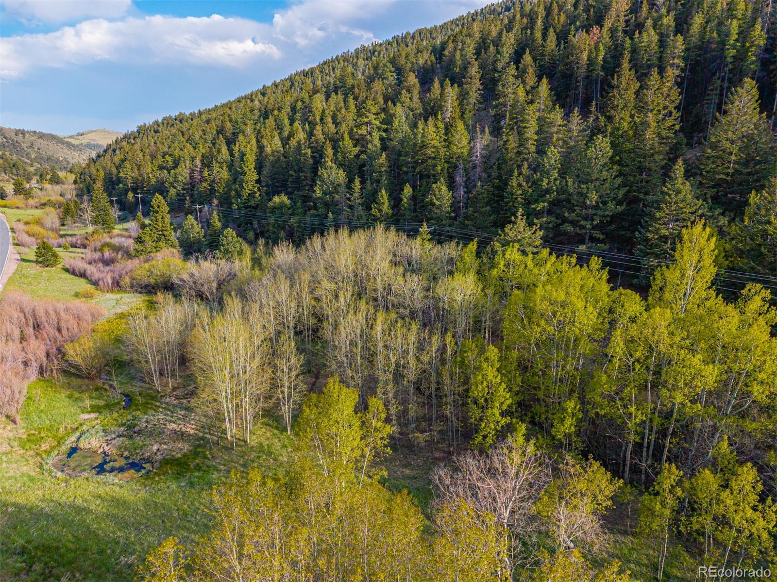 5896 Peregrine Trail Golden CO 80403
