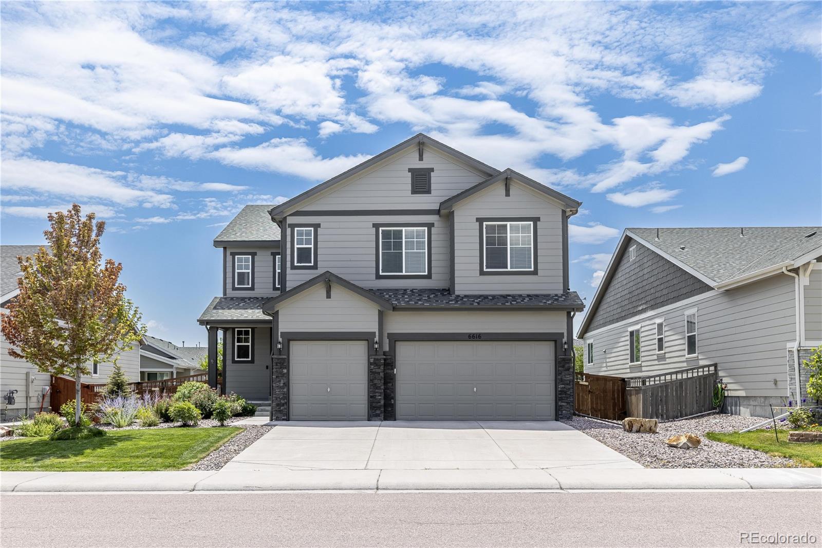 6616 Amur Lane Castle Rock CO 80108