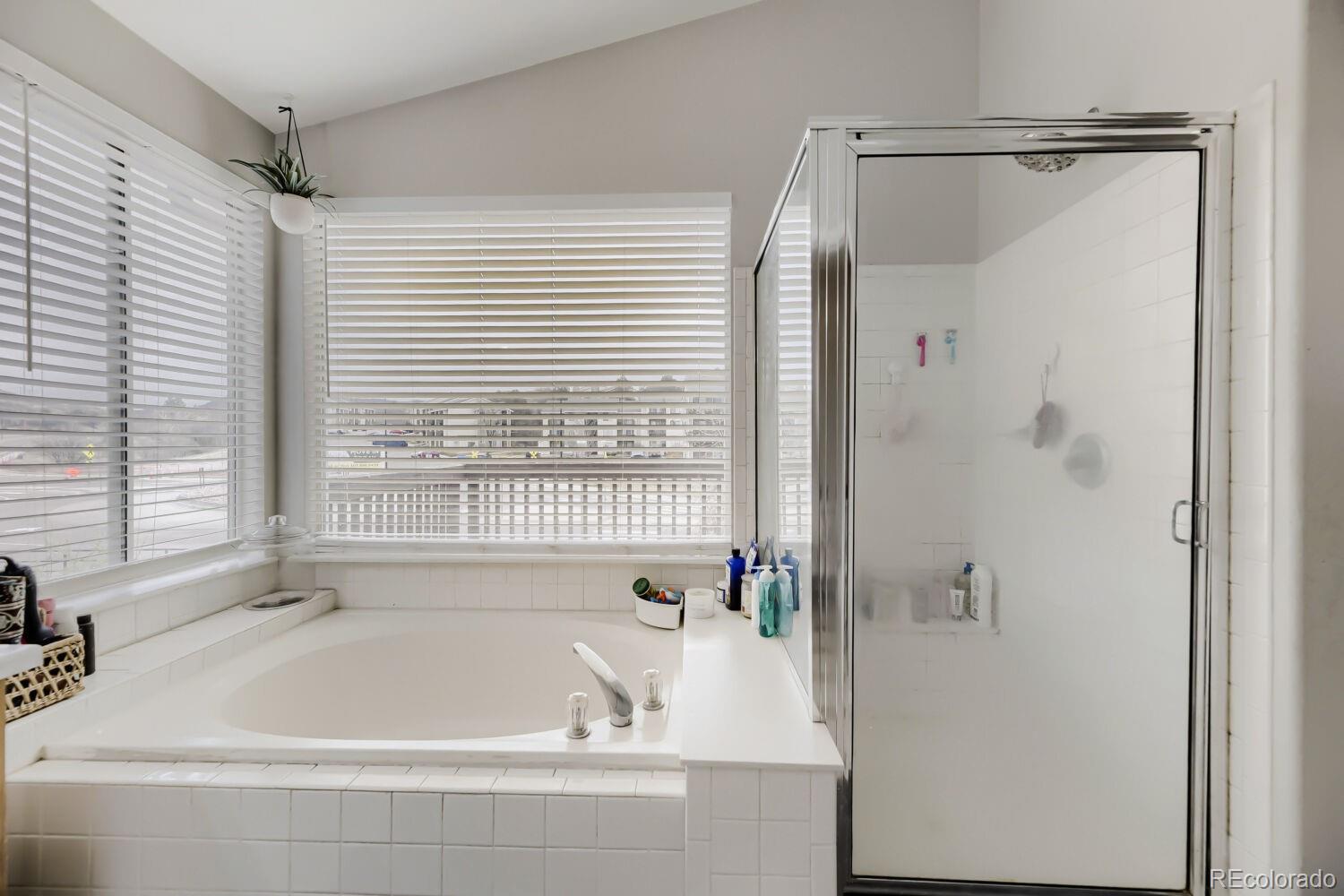 2336 Beacham Drive Castle Rock CO 80104