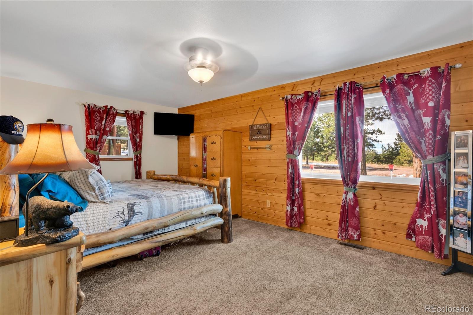 50 Shawnee Trail Westcliffe CO 81252