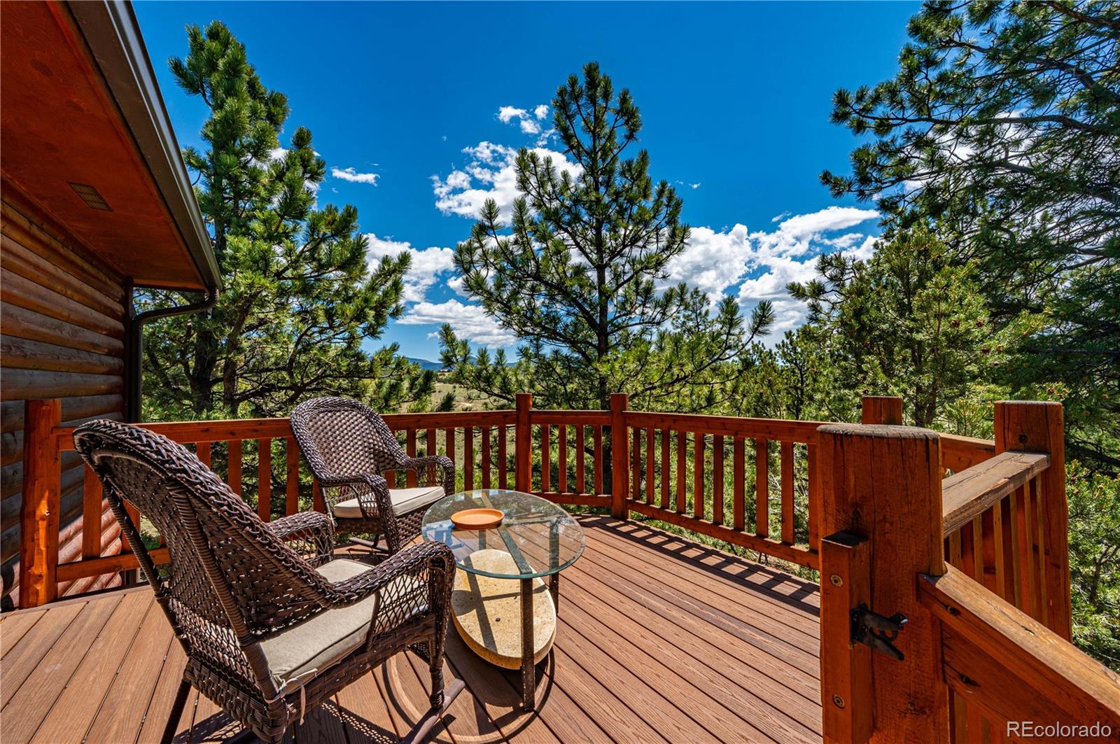 50 Shawnee Trail Westcliffe CO 81252