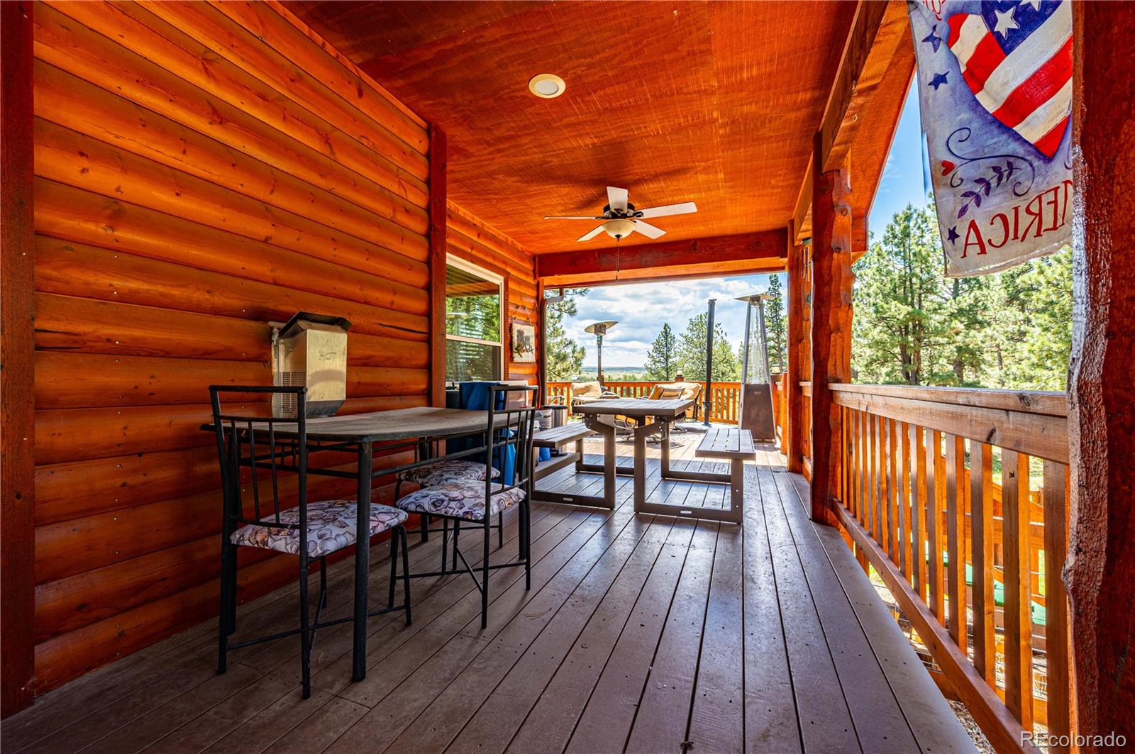 50 Shawnee Trail Westcliffe CO 81252