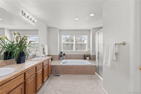 8316 Briar Ridge Drive Castle Pines CO 80108