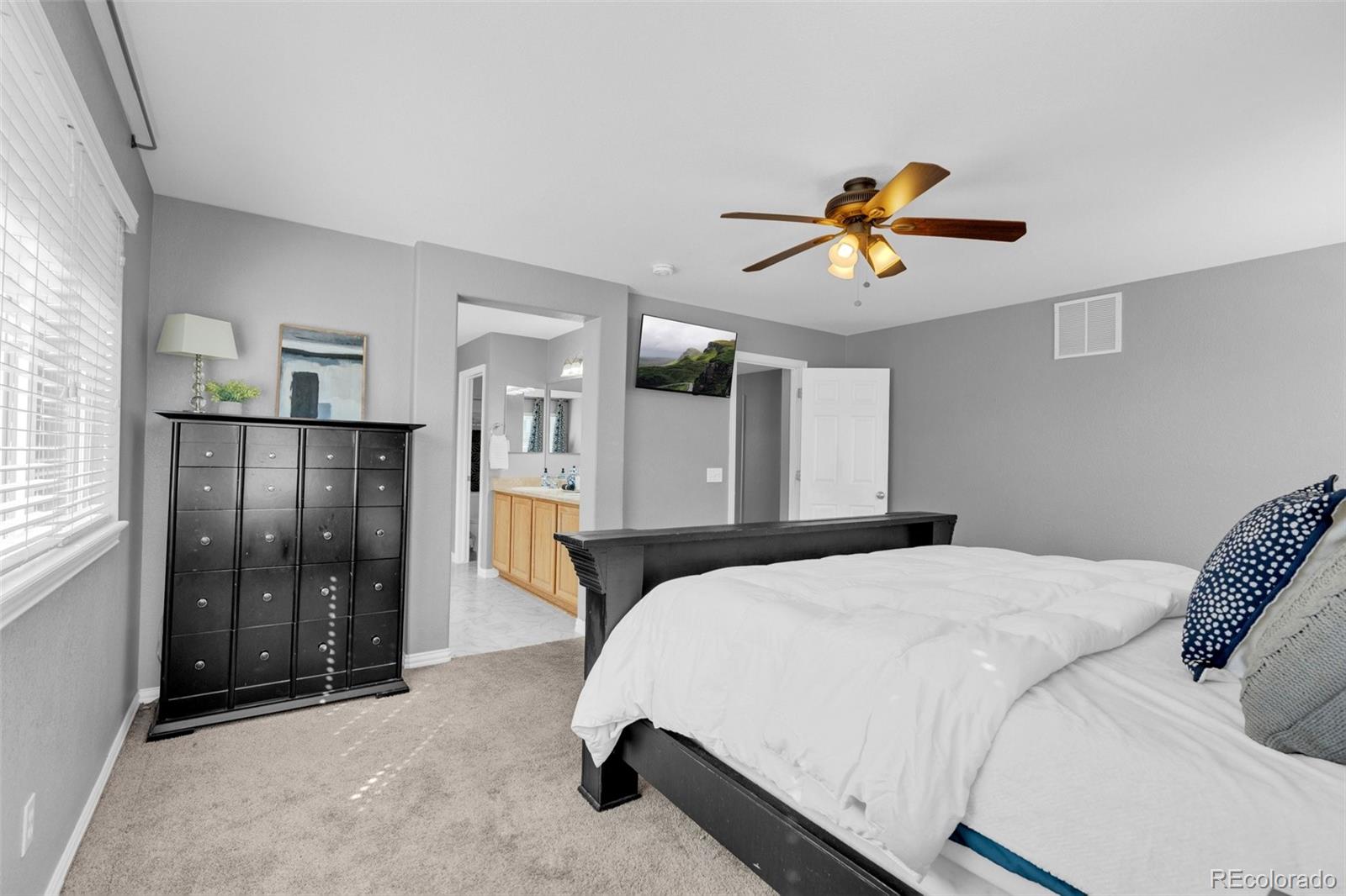 3623 Desert Ridge Place Castle Rock CO 80108