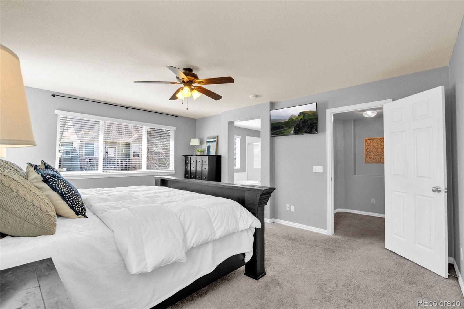 3623 Desert Ridge Place Castle Rock CO 80108