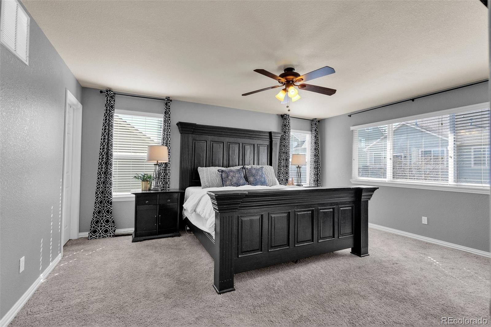 3623 Desert Ridge Place Castle Rock CO 80108