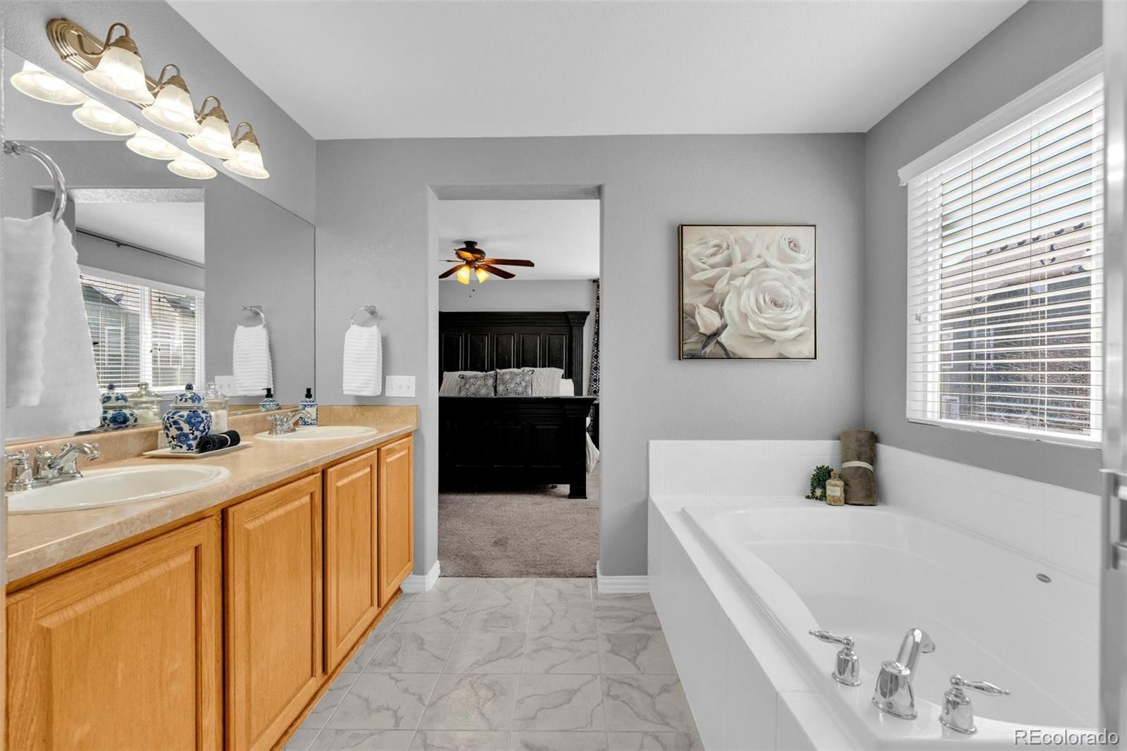 3623 Desert Ridge Place Castle Rock CO 80108