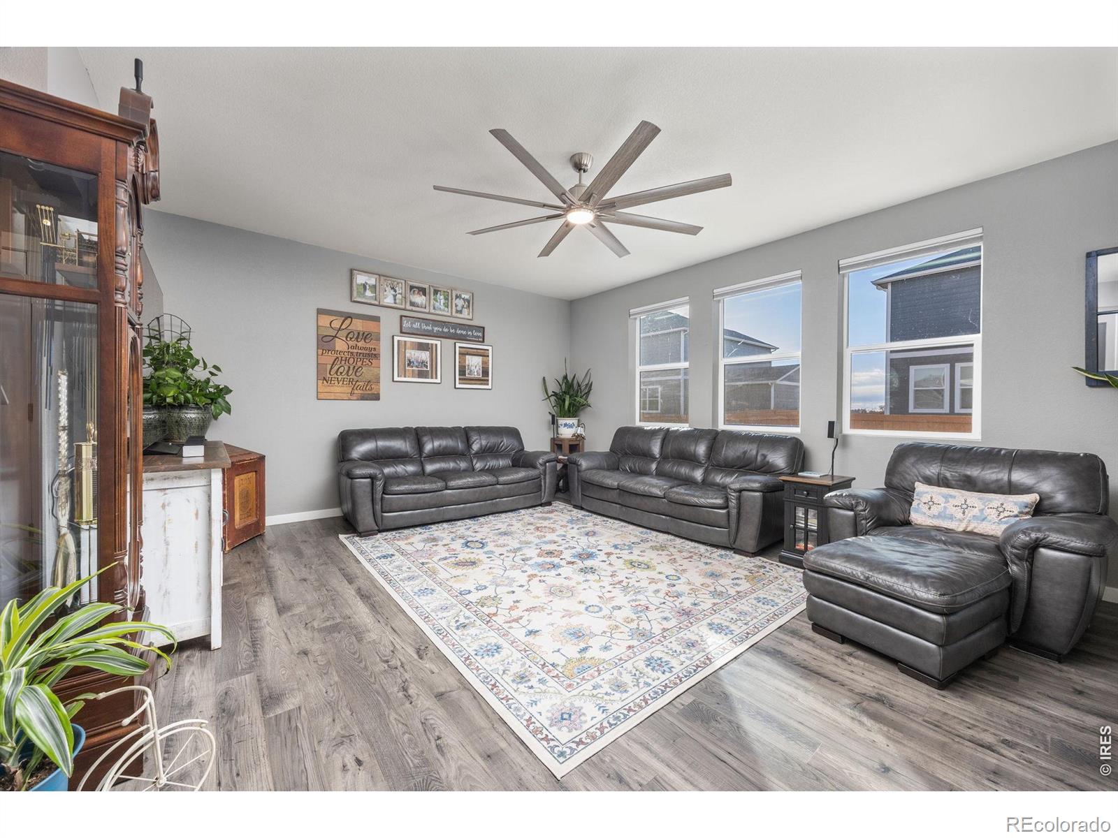 3725 Catmint Street Wellington CO 80549