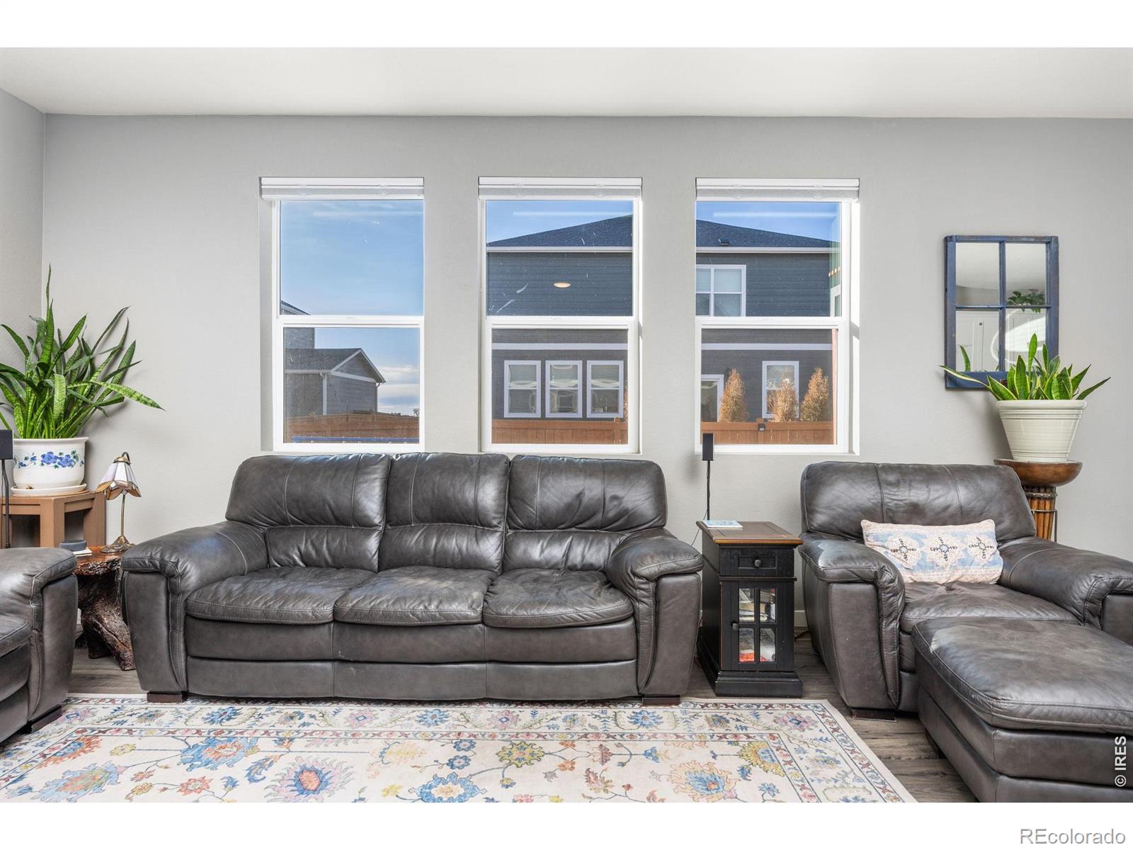 3725 Catmint Street Wellington CO 80549