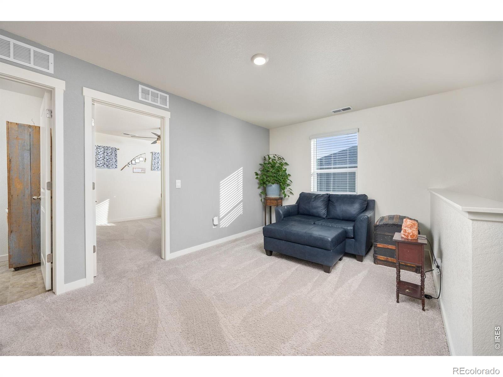 3725 Catmint Street Wellington CO 80549