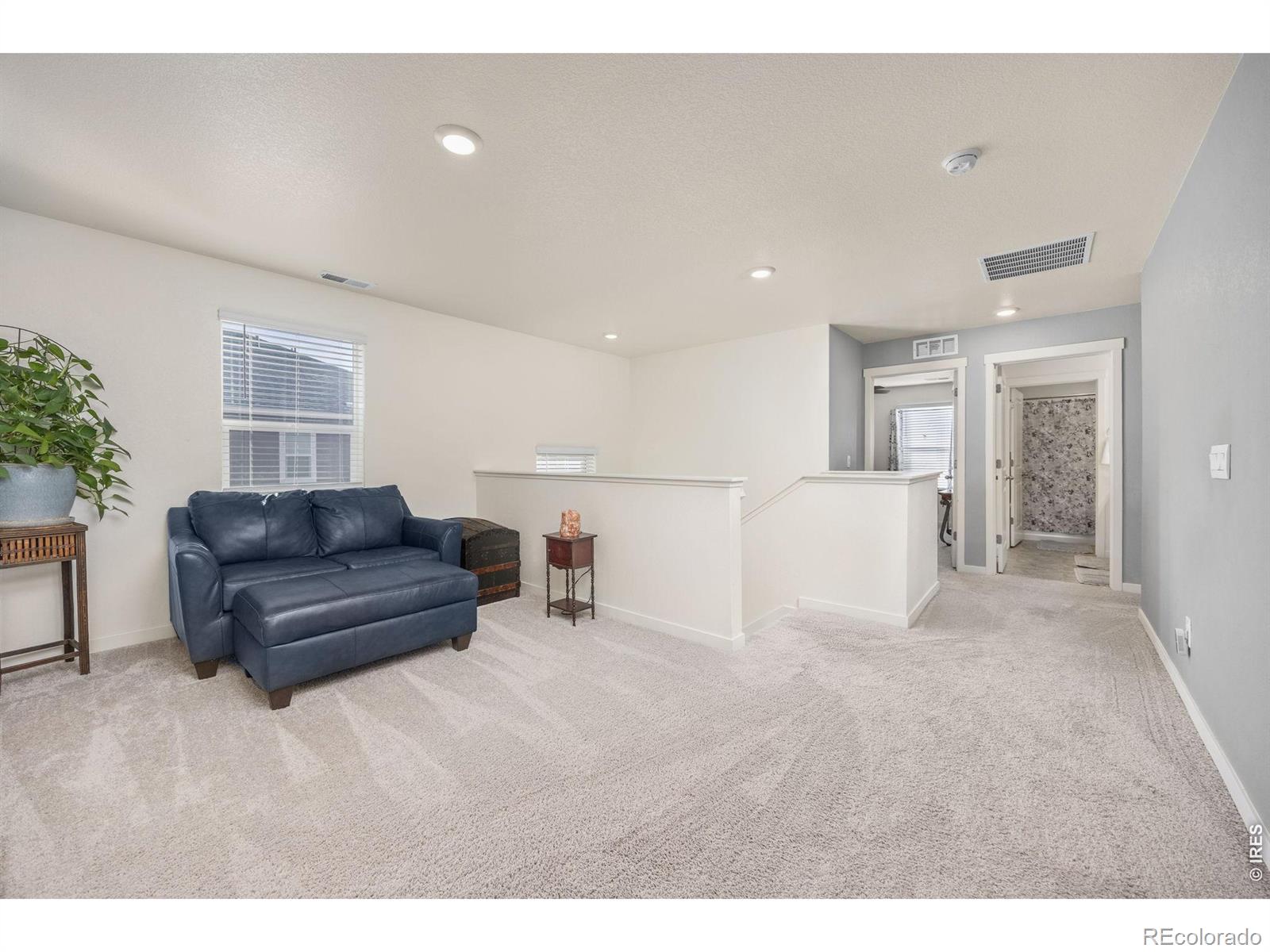 3725 Catmint Street Wellington CO 80549