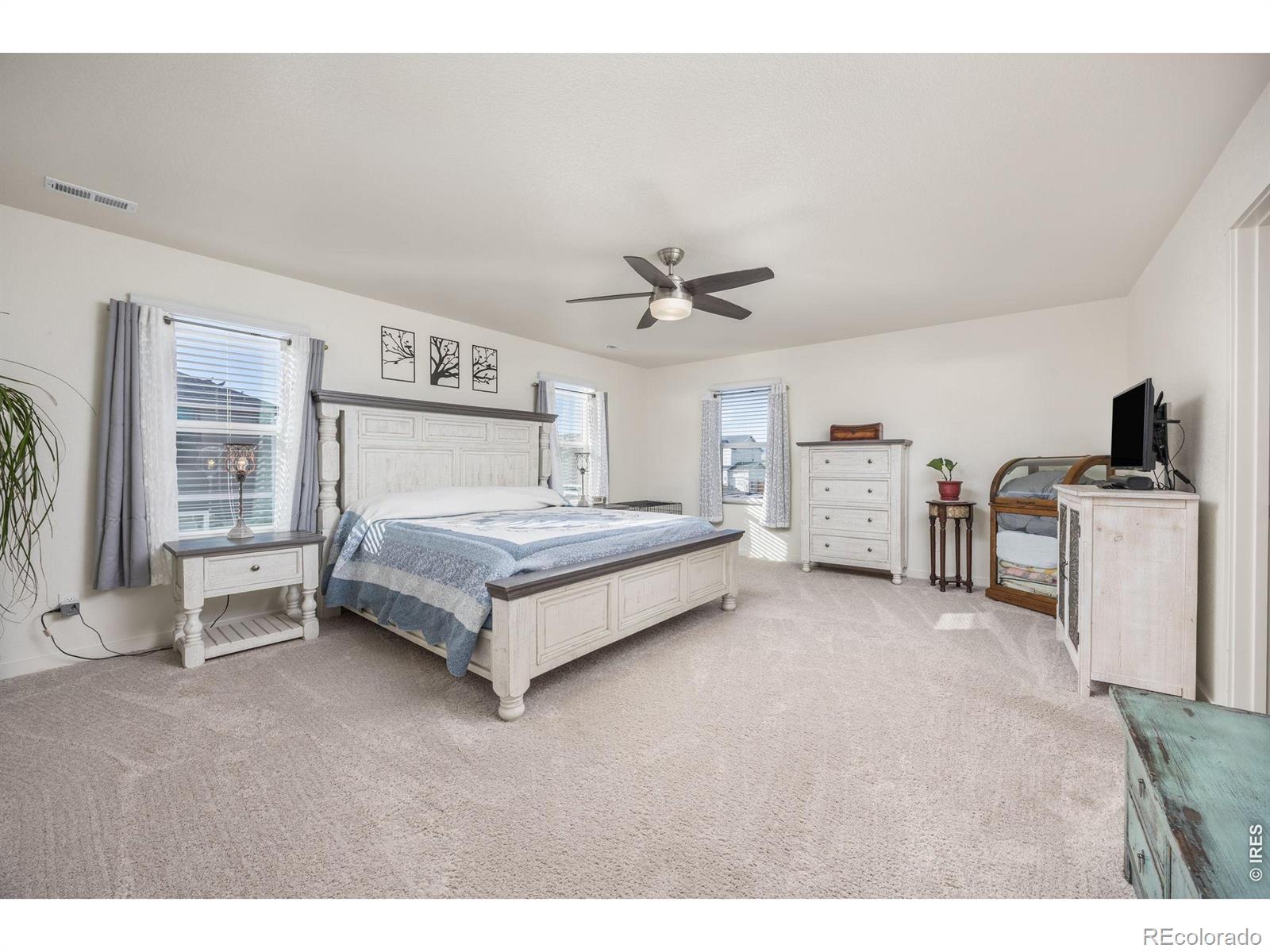 3725 Catmint Street Wellington CO 80549