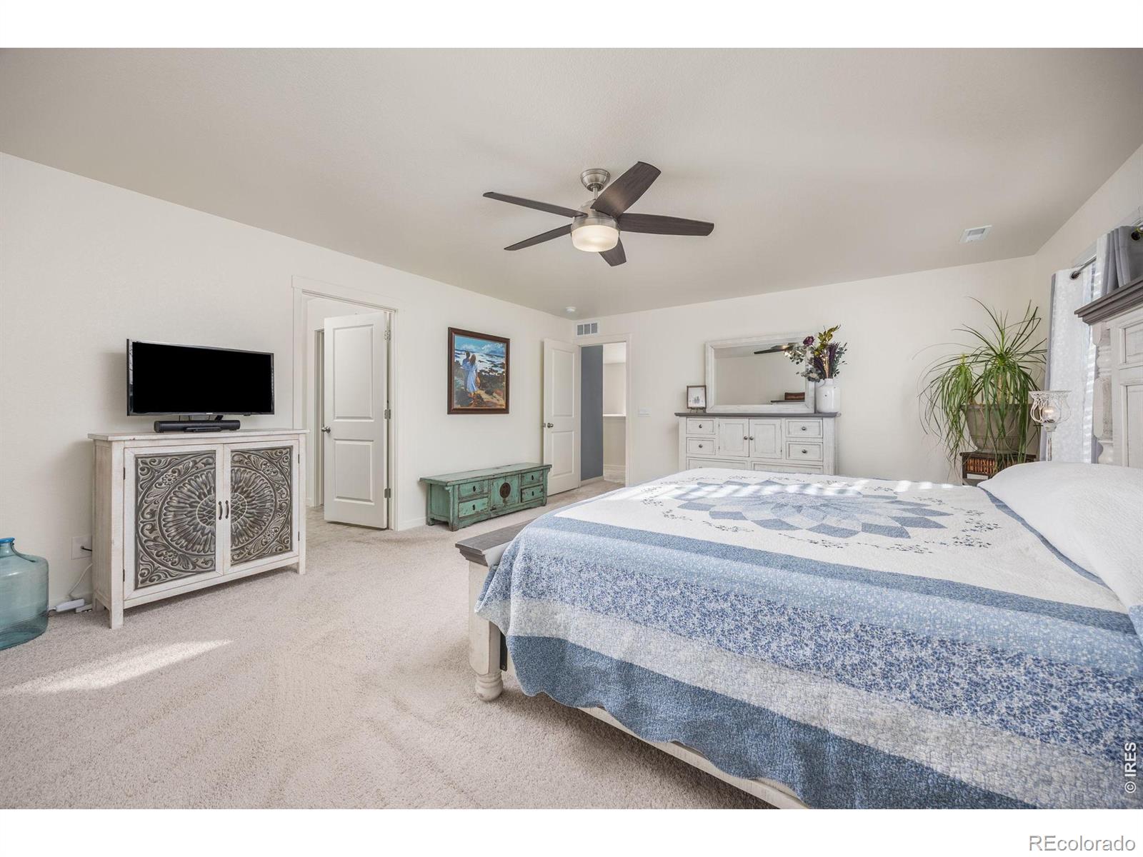 3725 Catmint Street Wellington CO 80549