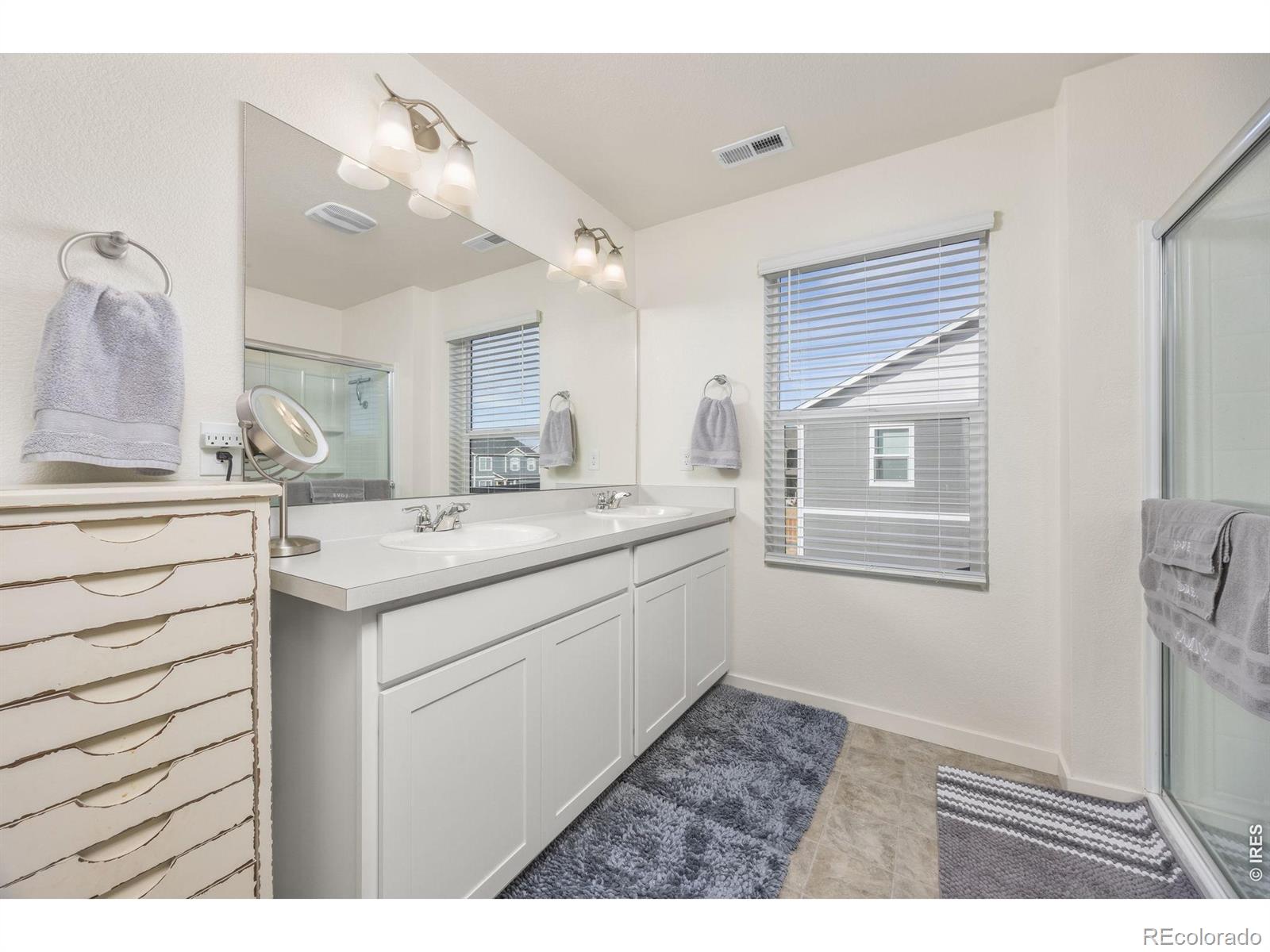 3725 Catmint Street Wellington CO 80549
