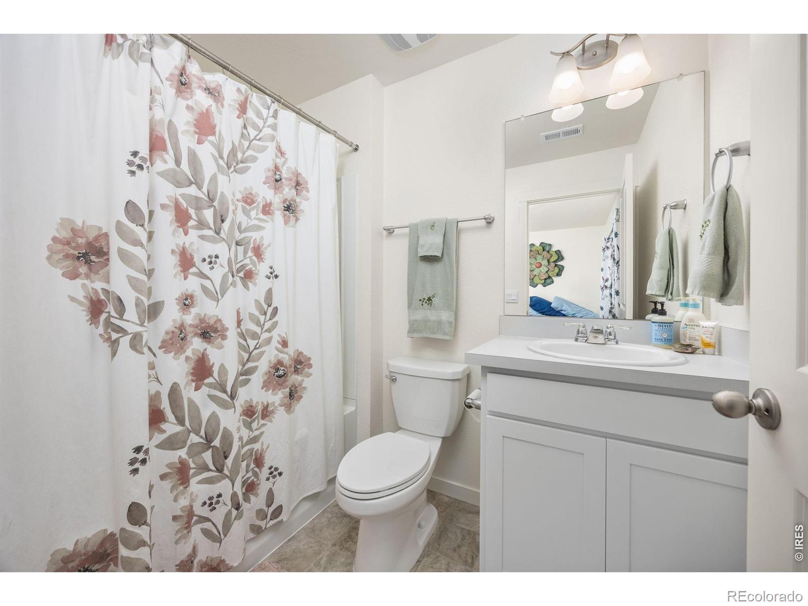 3725 Catmint Street Wellington CO 80549