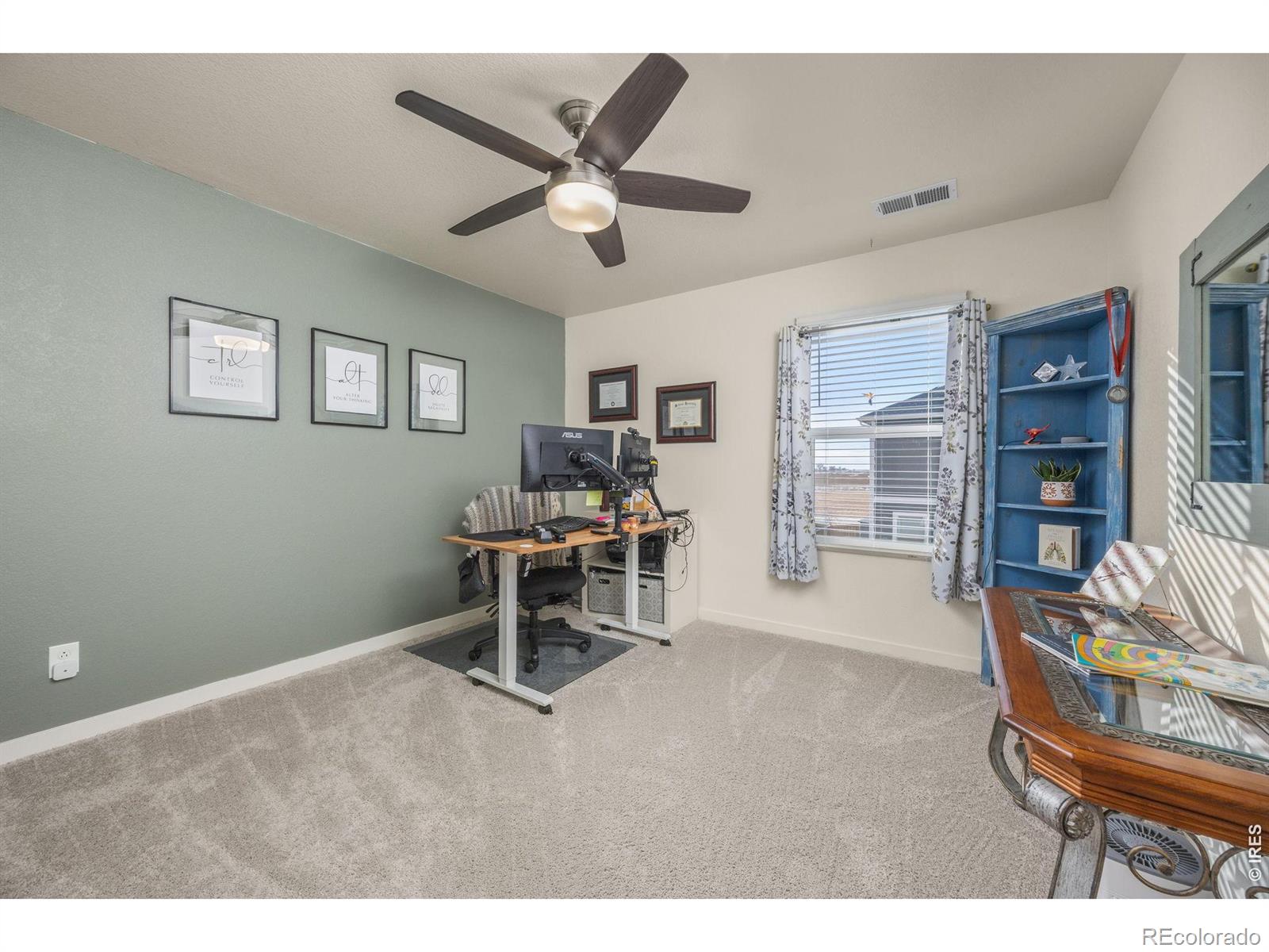 3725 Catmint Street Wellington CO 80549