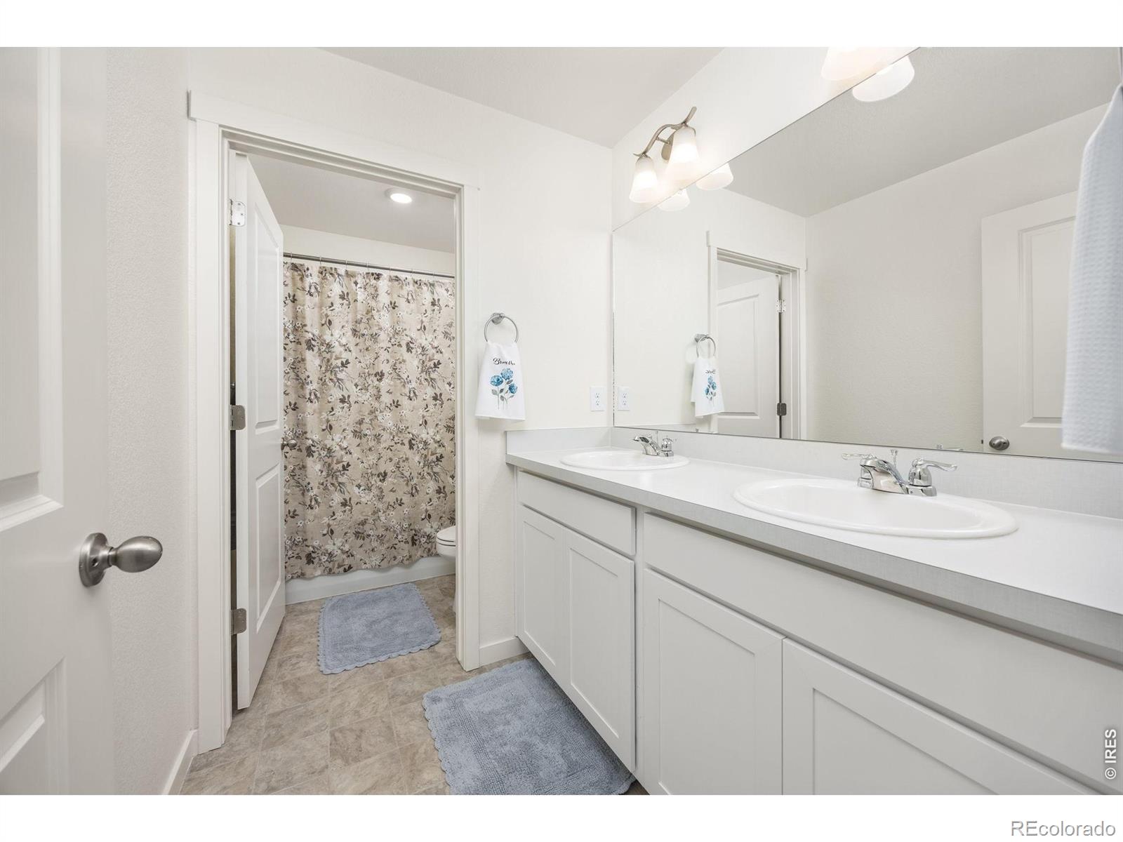 3725 Catmint Street Wellington CO 80549