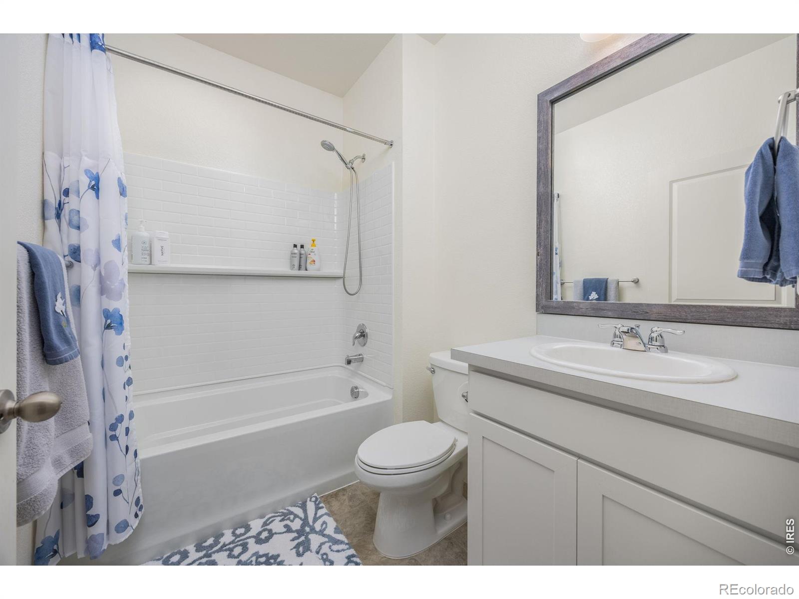 3725 Catmint Street Wellington CO 80549