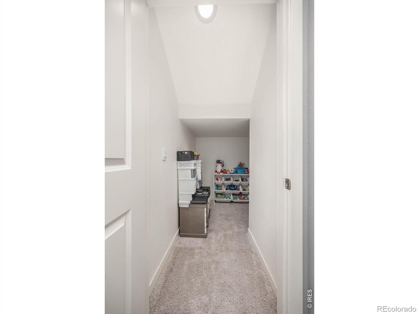 3725 Catmint Street Wellington CO 80549