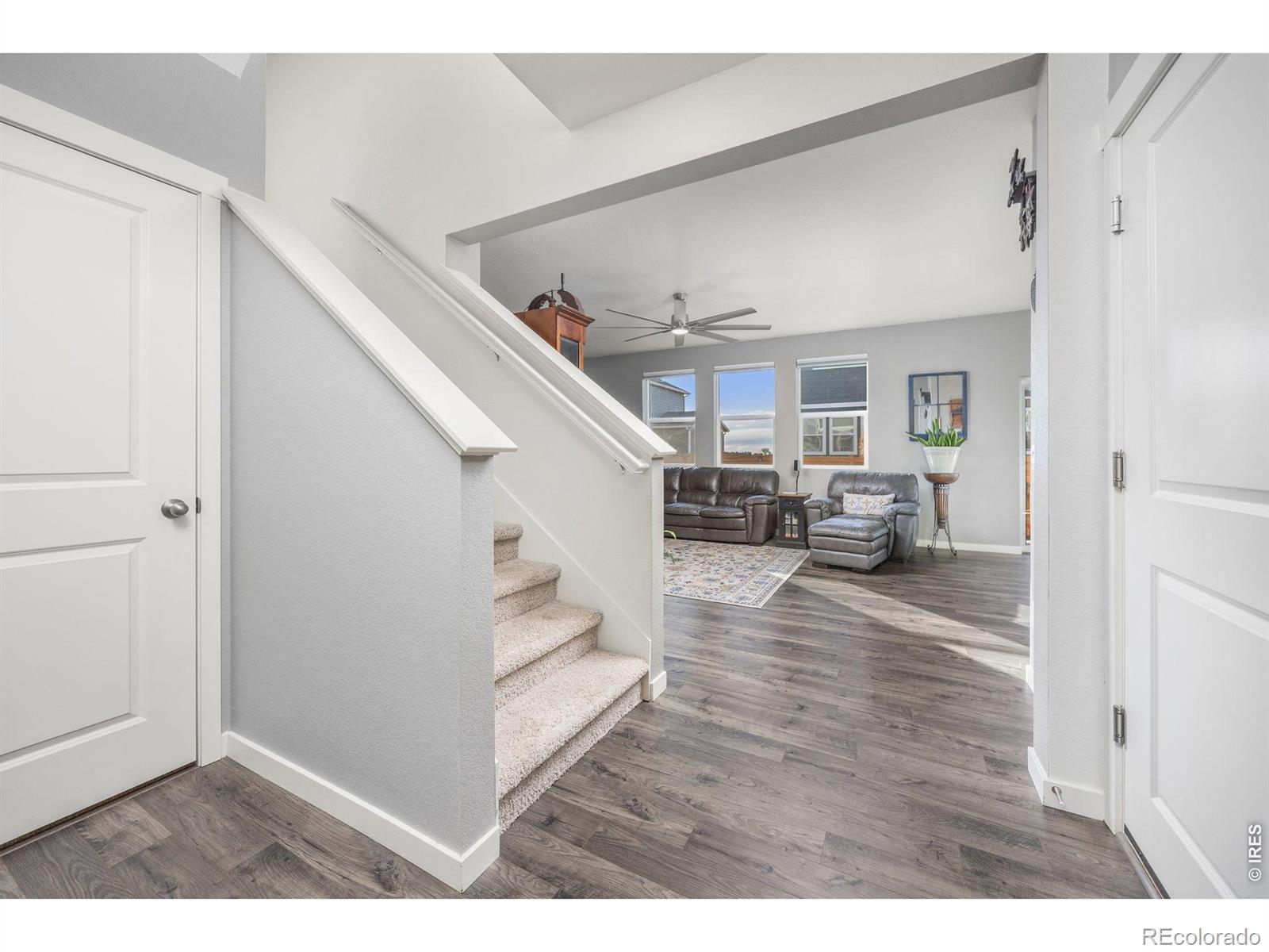 3725 Catmint Street Wellington CO 80549