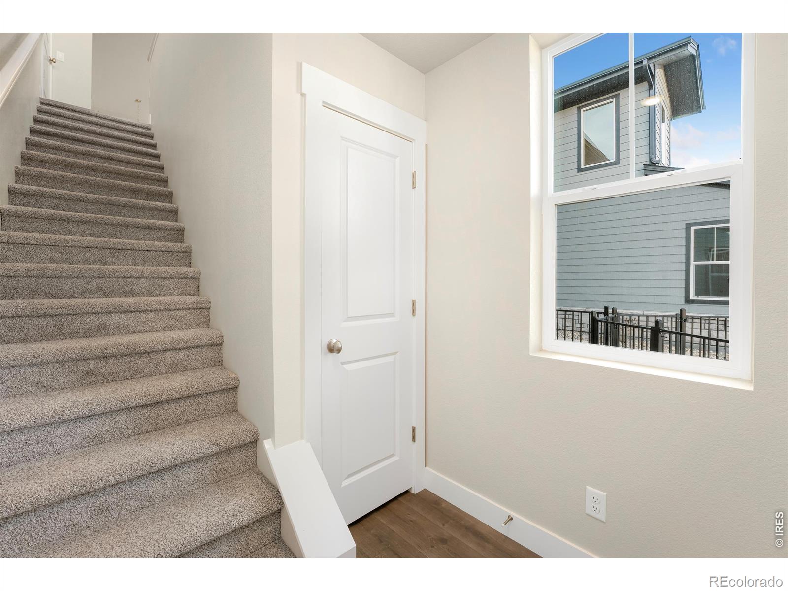 6793 Maple Leaf Drive Timnath CO 80547
