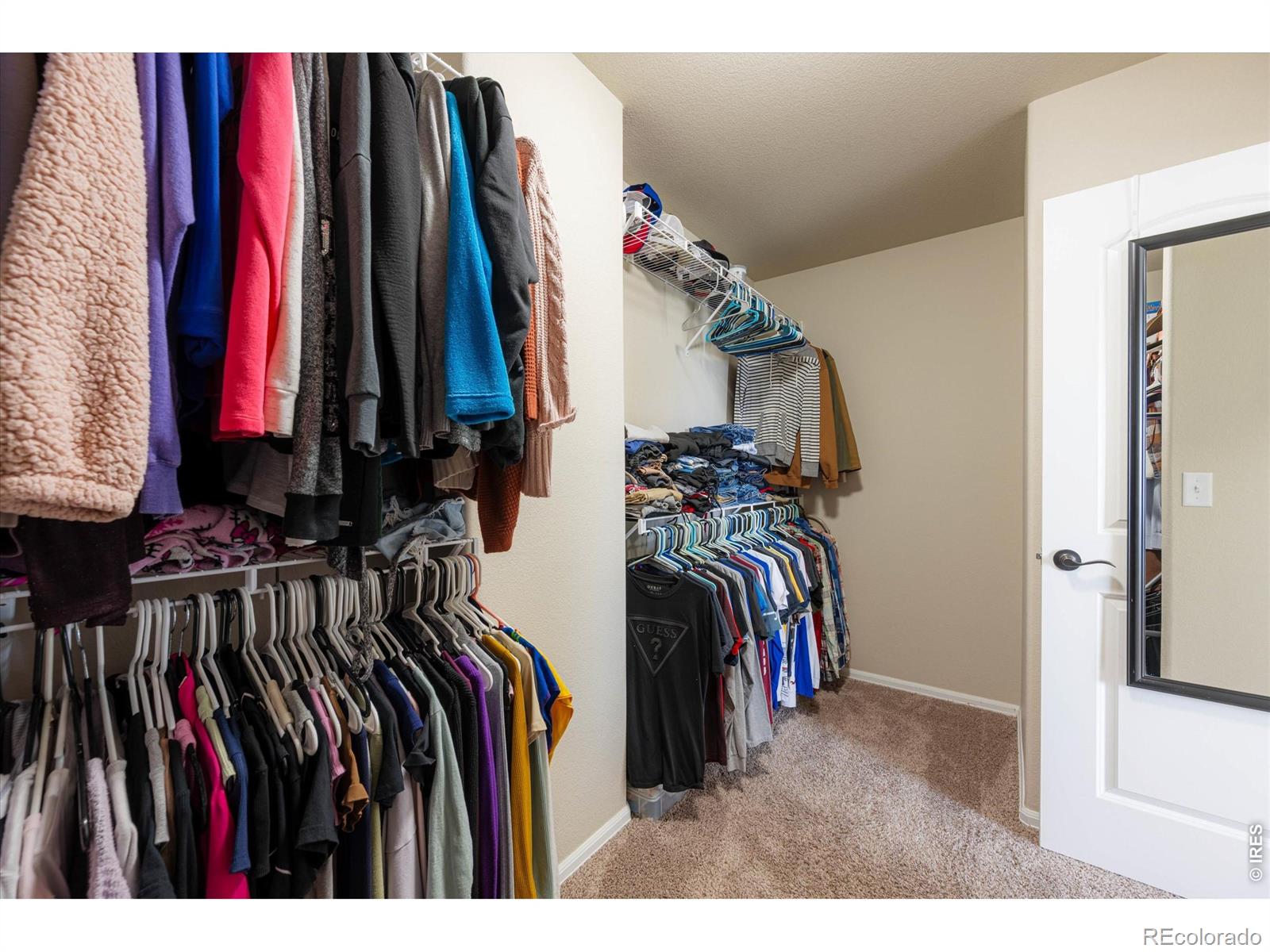 1205 Muskox Street Severance CO 80550