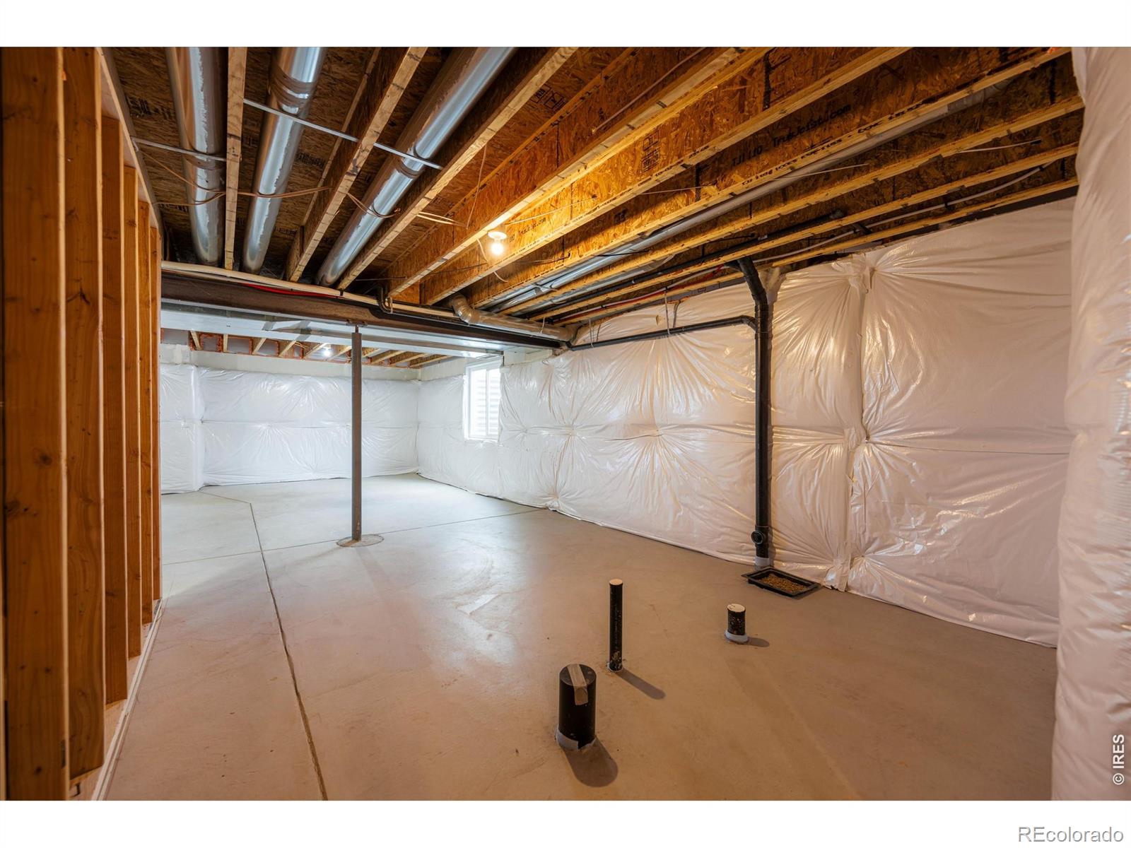 1205 Muskox Street Severance CO 80550
