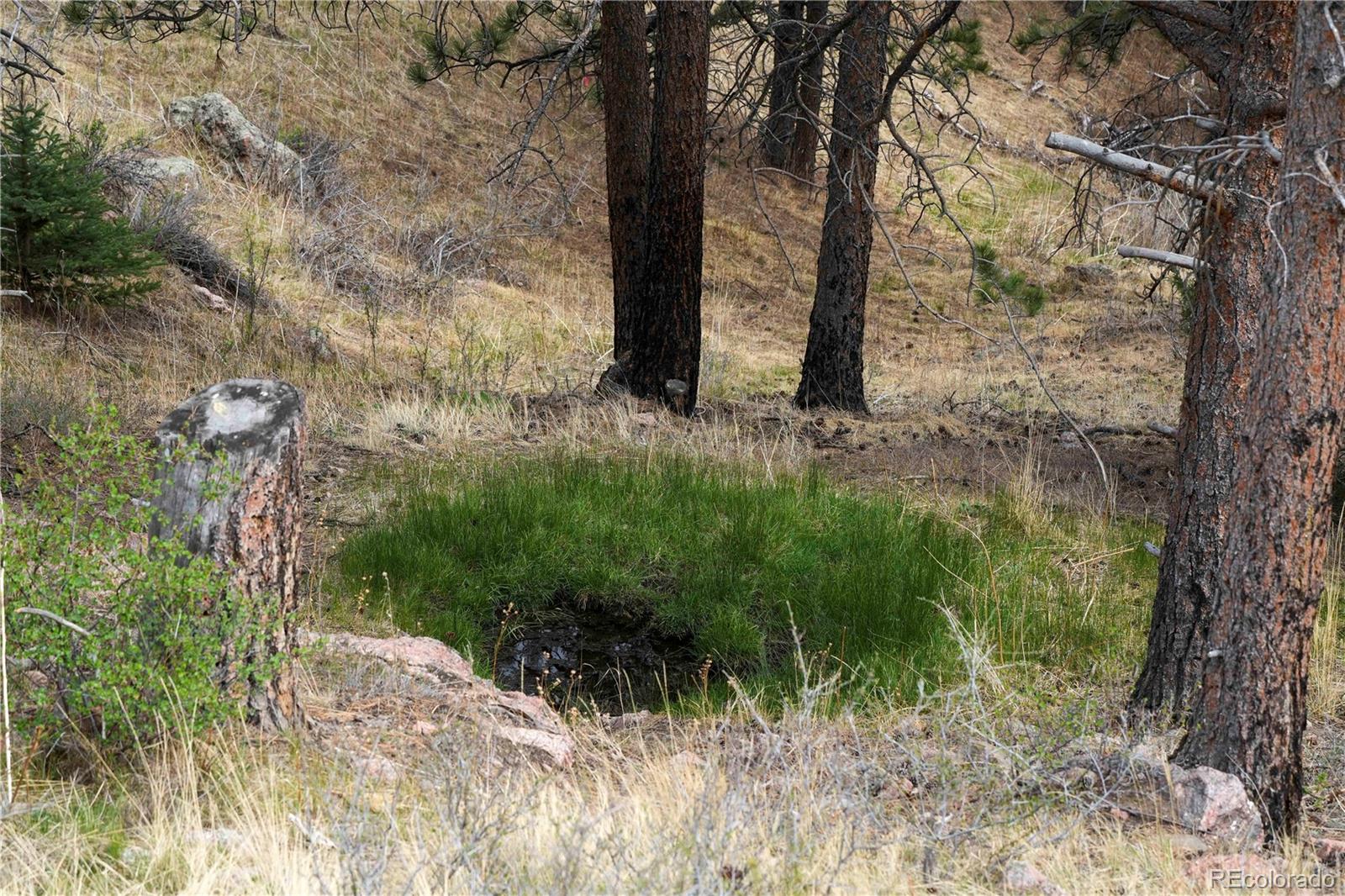 1049 Spencer Mountain Road Bellvue CO 80512