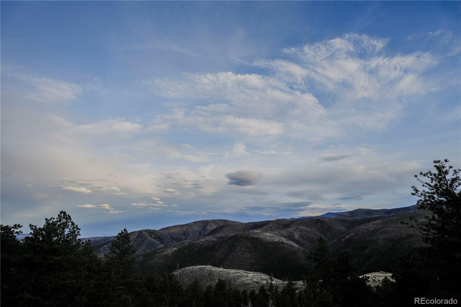 1049 Spencer Mountain Road Bellvue CO 80512