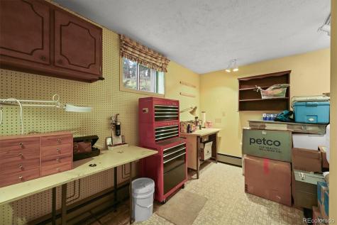 2169 Vigilante Avenue Bailey CO 80421