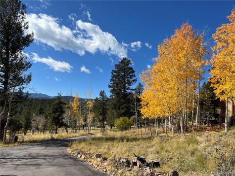 2169 Vigilante Avenue Bailey CO 80421