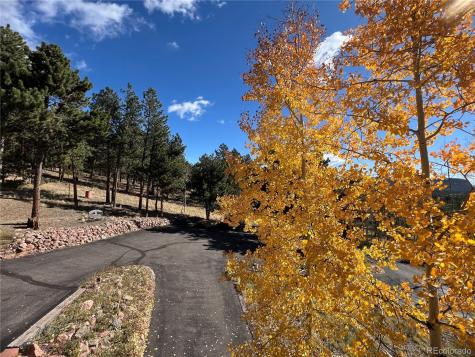 2169 Vigilante Avenue Bailey CO 80421