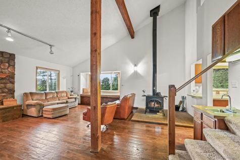 2169 Vigilante Avenue Bailey CO 80421