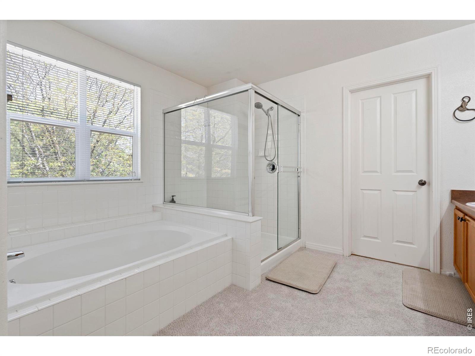 1526 Prairie Song Place Longmont CO 80504
