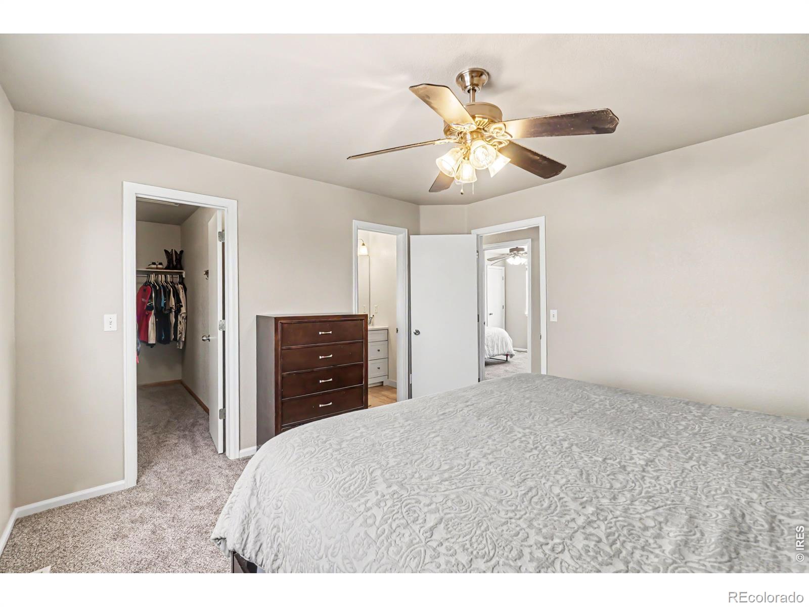 442 Laurel Avenue Eaton CO 80615