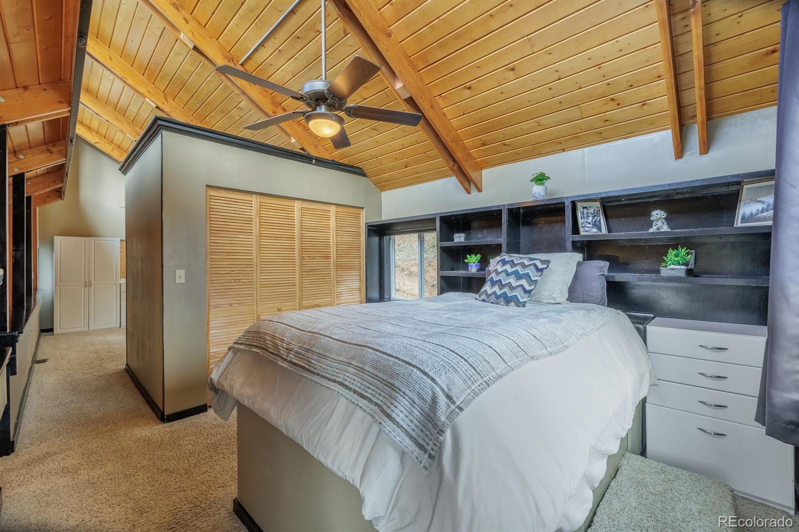 15895 Pine Lake Drive Woodland Park CO 80863