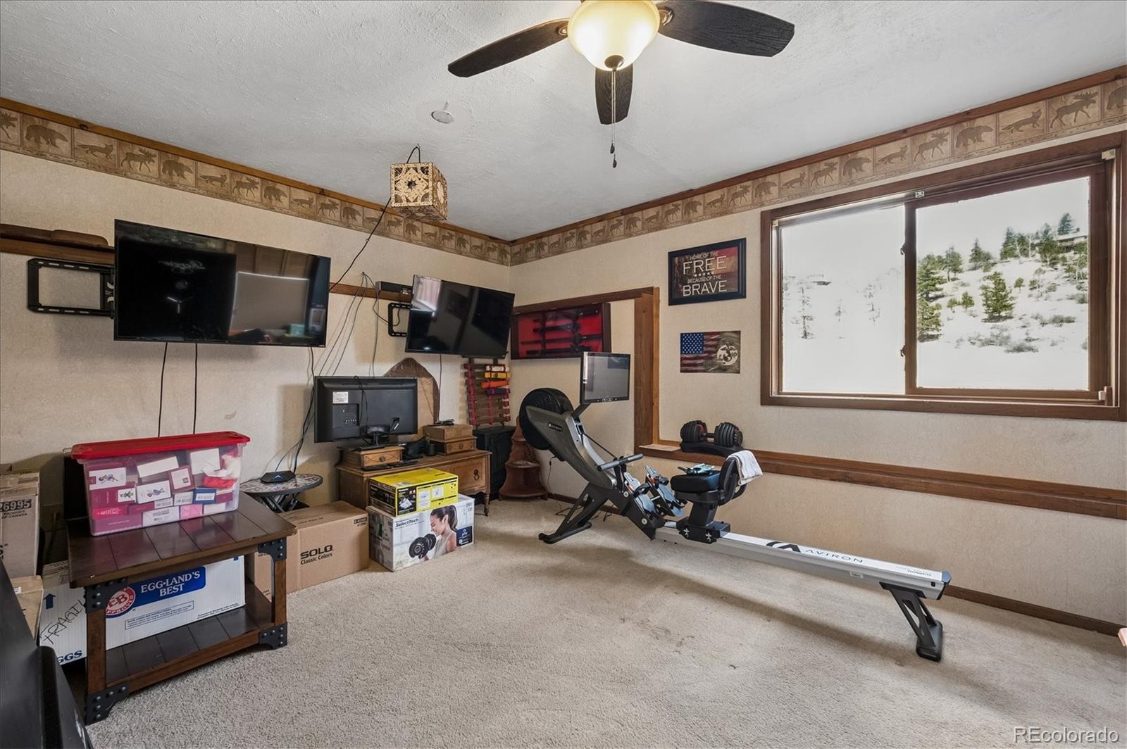 175 Blackbird Drive Bailey CO 80421