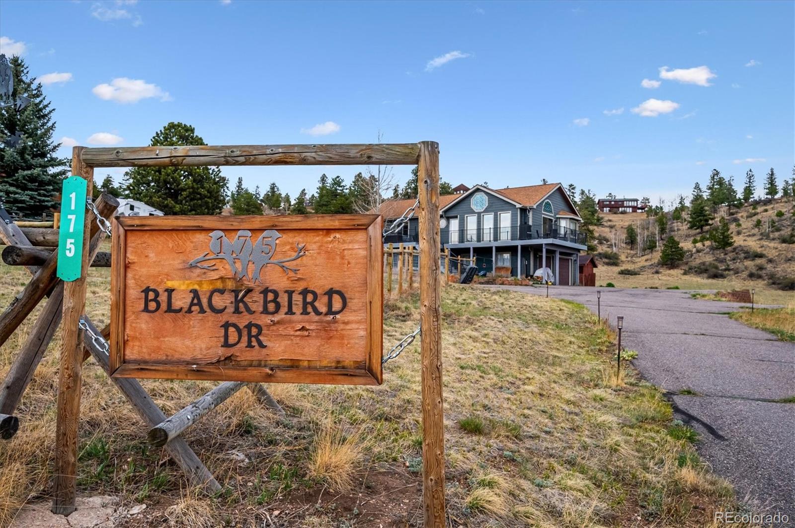 175 Blackbird Drive Bailey CO 80421