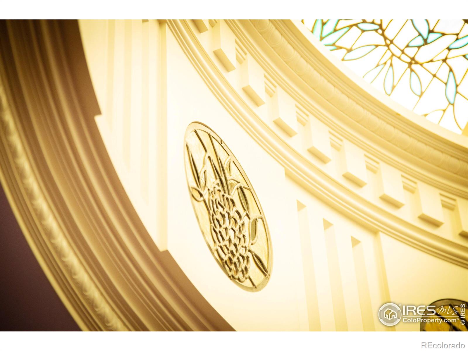 7484 N 49th Street Longmont CO 80503