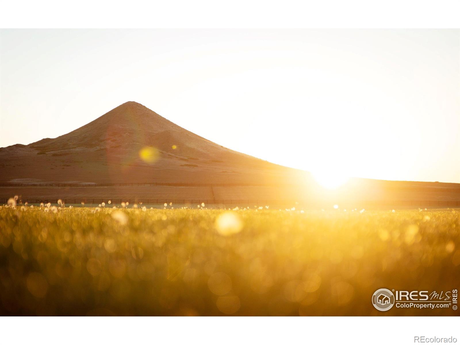 7484 N 49th Street Longmont CO 80503